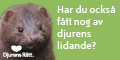 Stöd djurens rätt - Bli djufadder i Djurens Rätt!