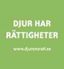 Texten "Djur har rättigheter" mot grön bakgrund