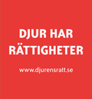 Texten "Djur har rättigheter" mot röd bakgrund