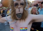 Djurens Rätt på Stockholm Pride 2010.