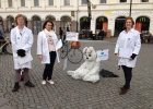 Djurens Rätt Malmö - Försöksdjurens dag 2012
