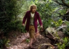 The Hobbit