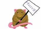 Hurra!