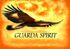 Guarda Spirit-logga organgegul himmel med svävande fågel