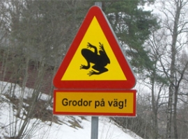 Samhällsbyggande och miljö