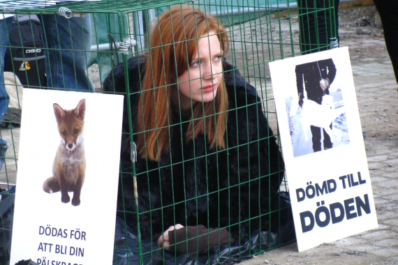 pälsdemo 2011