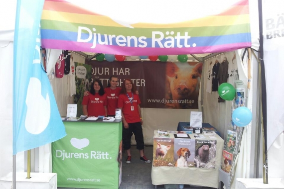 Djurens Rätts tält på Stockholm Pride 2012