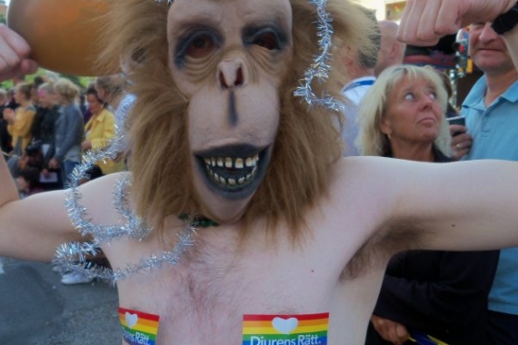 Djurens Rätt på Stockholm Pride 2010.