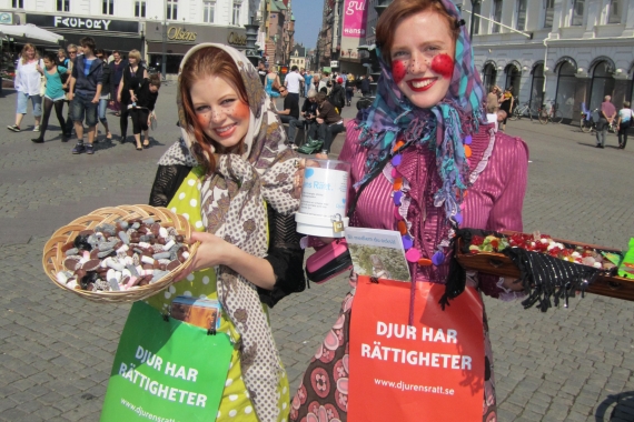 Djurens Rätt Malmö under påskafton 2011