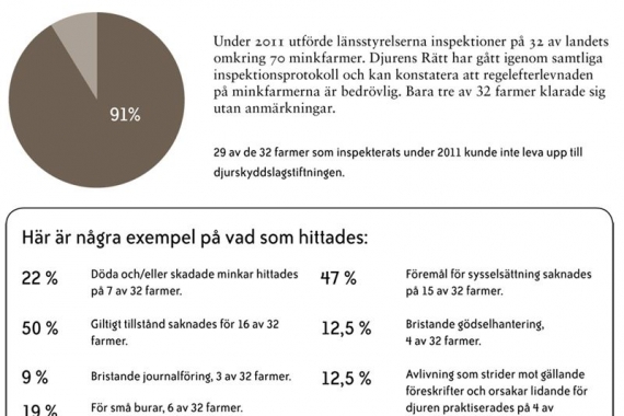 Många anmärkningar vid inspektioner
