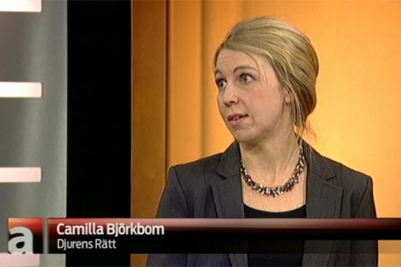 Camilla Björkbom Camilla Björkbom