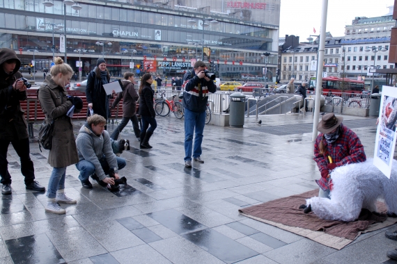Djurens Rätt och PETA demonstrerar mot mulesing i mars 2008. Foto: Ulrika Tamm Djurens Rätt och PETA demonstrerar mot mulesing i mars 2008. Foto: Ulrika Tamm