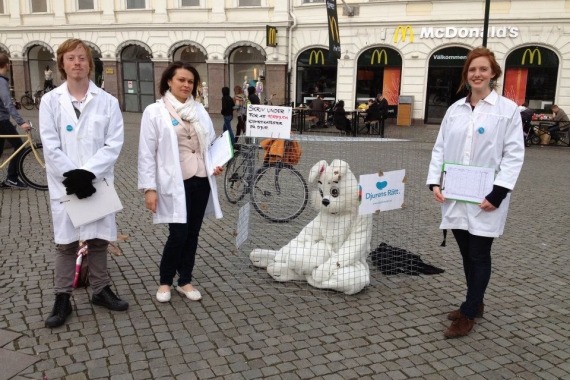 Försöksdjurens dag på Gustav Adolfs torg i Malmö