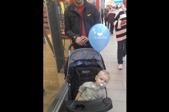 Djurens Rätt-ballonger vart man än såg Djurens Rätt-ballonger vart man än såg