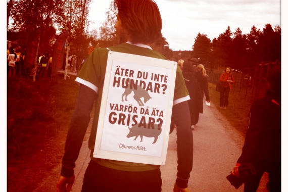 Malte Lindstam Malte och hans plakat.