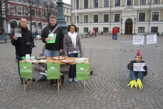 Aktion mot buräggsindustrin i Lund, tillsammans med Djurens Rätt Lund.