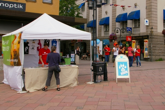 Flytta på musen, den skymmer bilden... Stortorget, Djurens Rätt