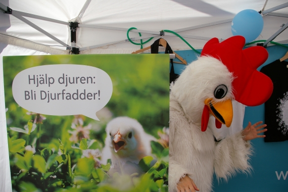 hönrietta