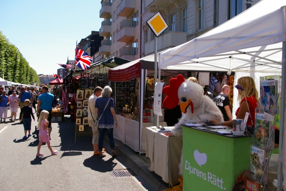 Du har musen i vägen för bilden... Hönrietta går ut ur tältet