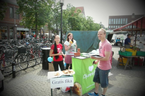 Halmstad City Marknad den 26 Maj 2012.