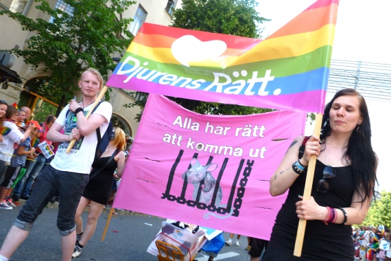 Djurens Rätt Stockholm i Prideparaden 2012. Foto: Stella Nova Nordqvist