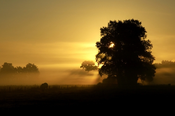 Foto: Mostphotos