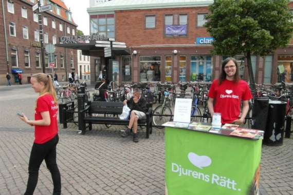 Stora torg i Halmstad den 16 Juni 2012.