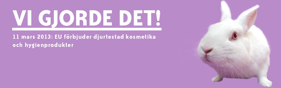 Vi gjorde det!