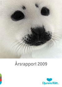 En säl tittar mot dig. Under står texten &amp;quot;Årsrapport 2009&amp;quot;
