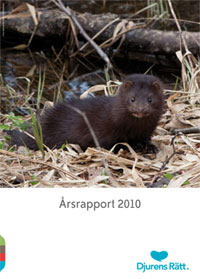 En söt mink tittar in i kameran. Under finns texten &amp;quot;Årsrapport 2010&amp;quot;