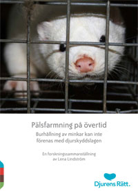 En vit mink tittar mot dig genom burgallret. Nedanför står texten &amp;quot;Pälsfarmning på övertid&amp;quot;