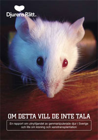En mus tittar fram. Den ser orolig ut. Under finns texten: Om detta vill de inte tala