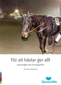 En trött travhäst släpar i regnet en sulky på en bana. Under finns texten: För att hästar ger allt - Sanningen om travsporten