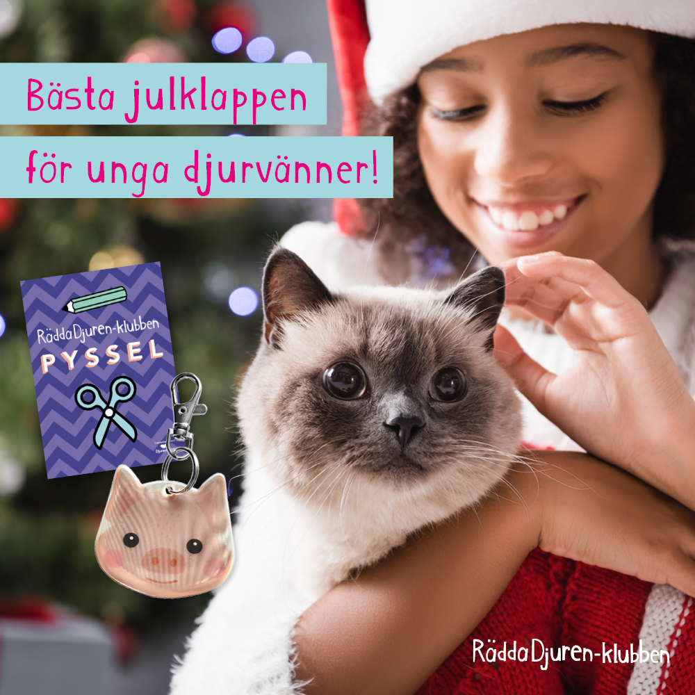 Julklapp