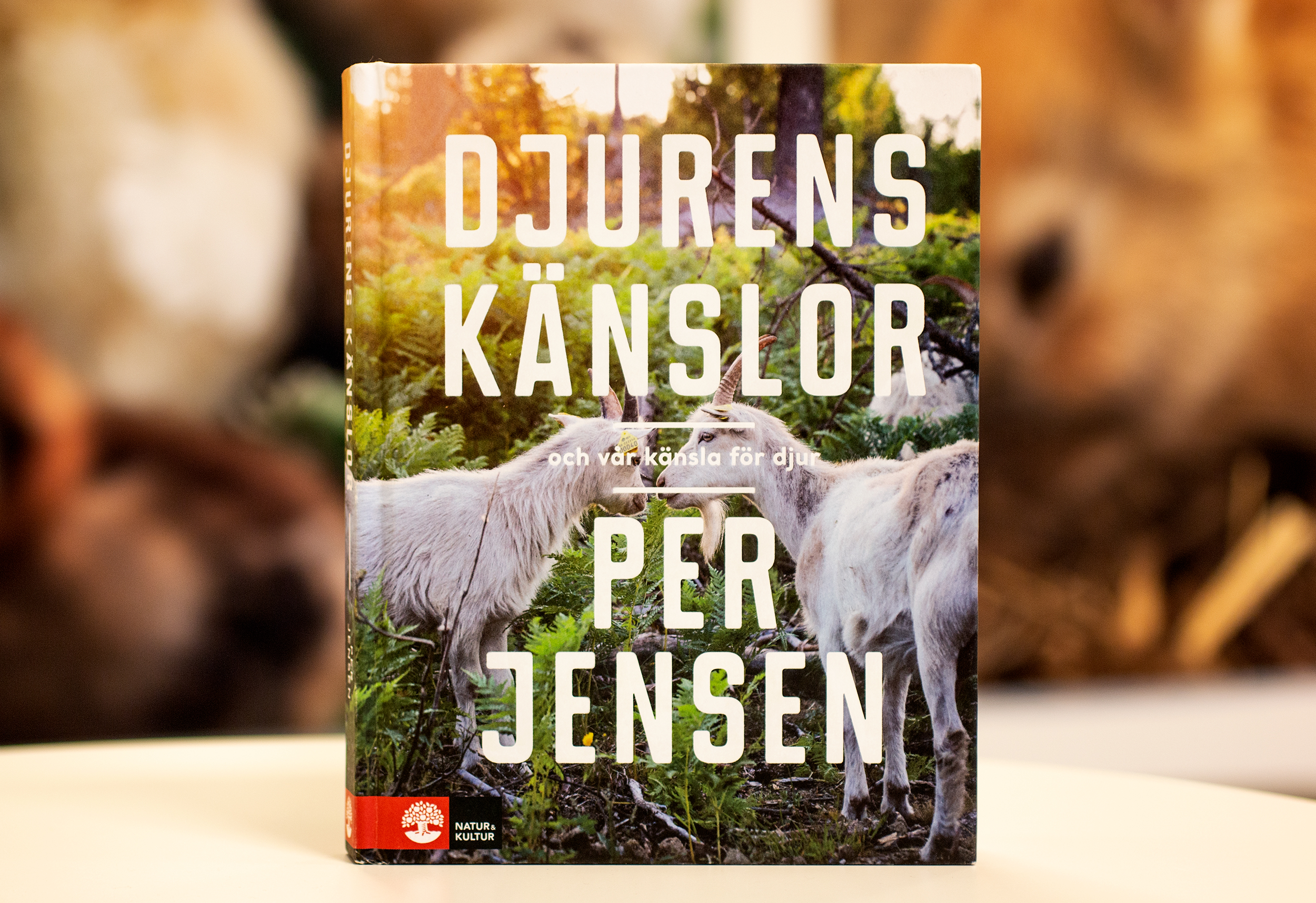 Djurens känslor – och vår känsla för djur